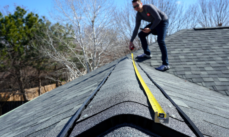 Expert witness construction